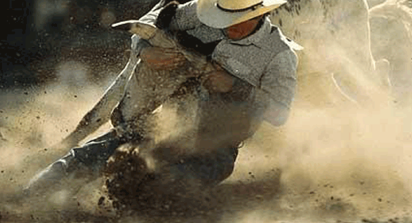 Cowboy wrestling a bull